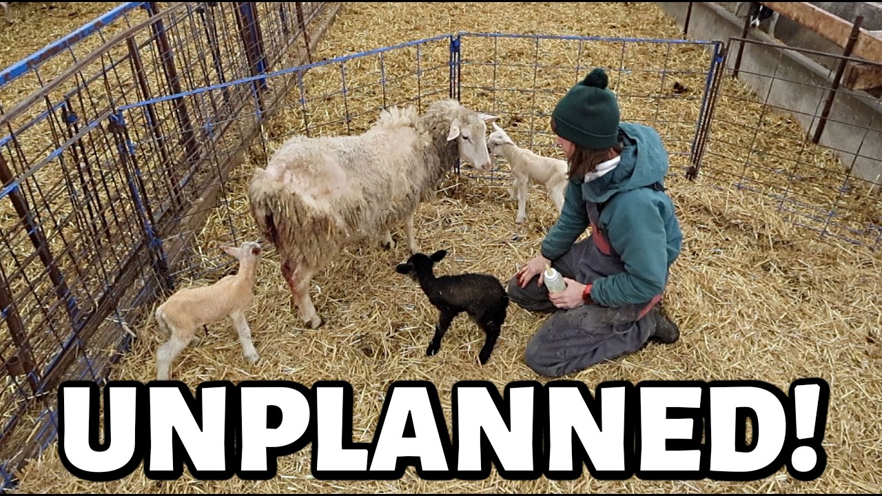 Еще одна незапланированная беременность, которая разбила мне сердце.