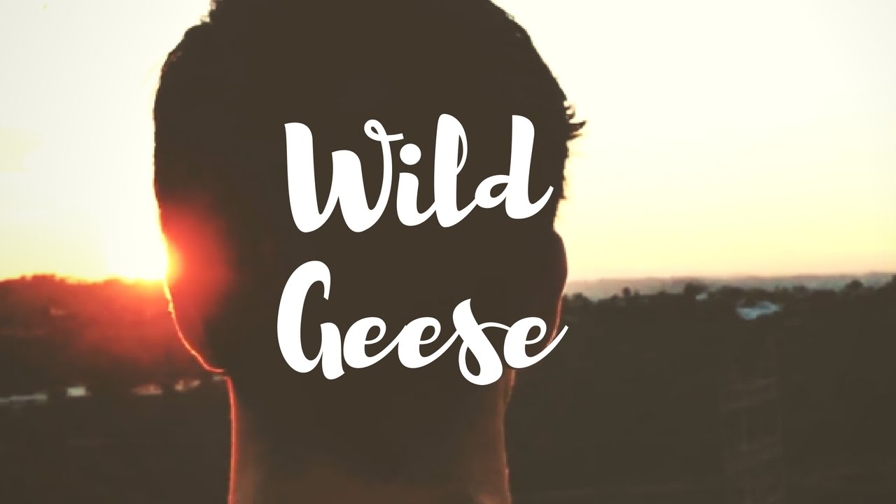 Mary Oliver - Wild Geese | Collaboration with Live Learn Evolve
