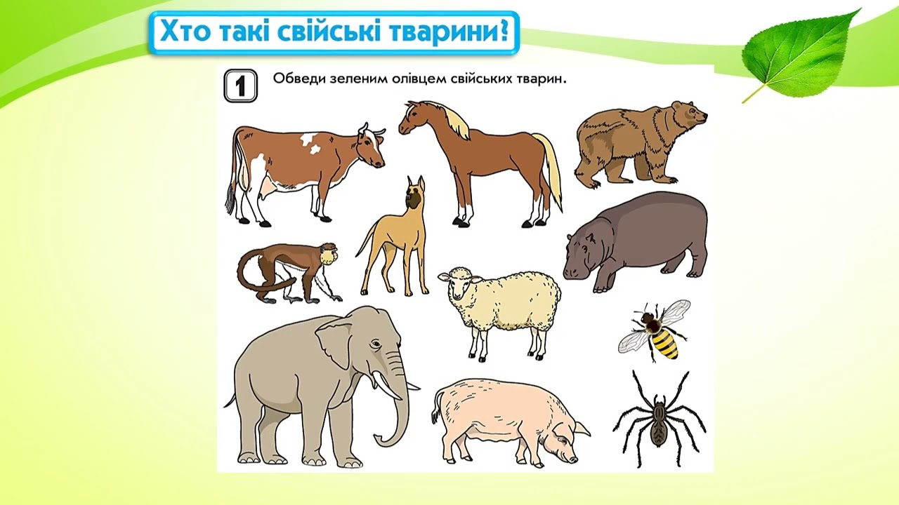 Хто такі свійські тварини? Навк. св. - 1, ІІч. , с. 54-58