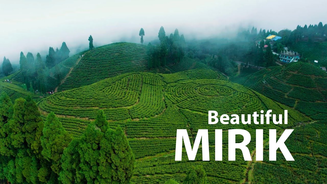 MIRIK DRONE SHOTS LIKE NEVER BEFORE - GOPALDHARA TEA ESTATE | darjeeling ride ep 5 | Missing Gears