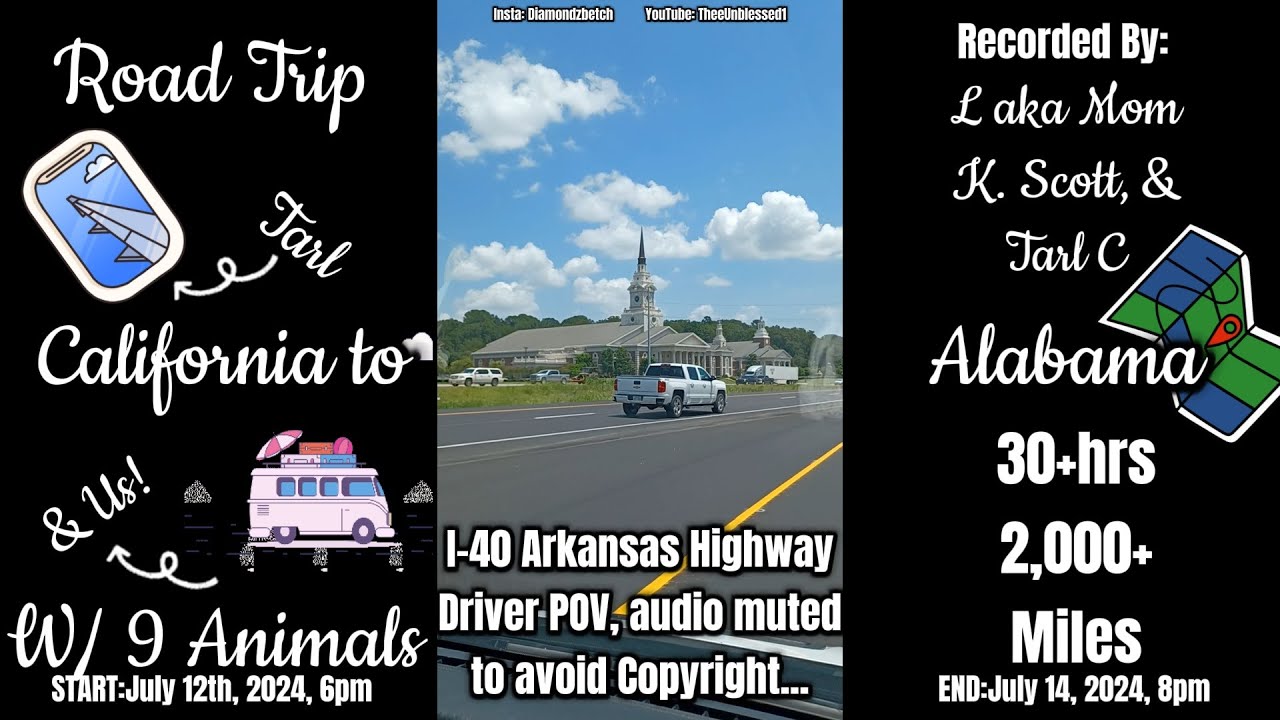 Family's Road Trip From California to Alabama...With 9 Animals on Board!