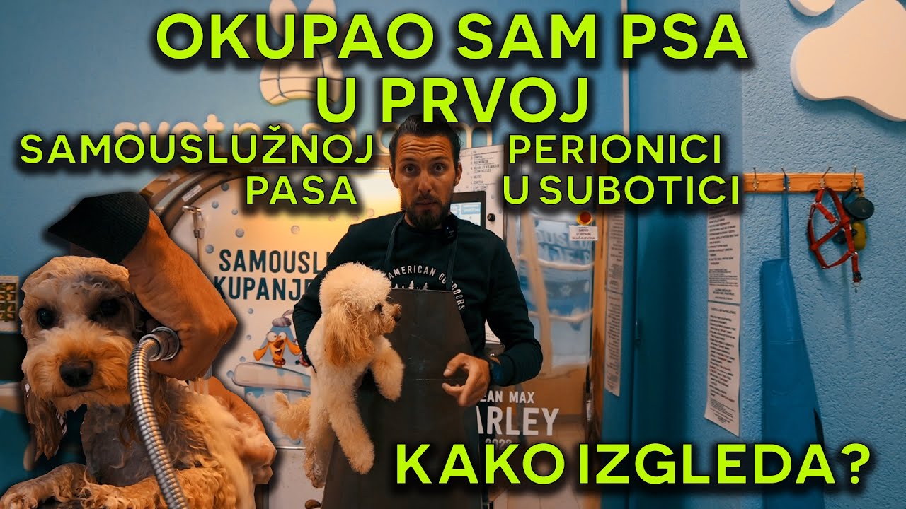 Samousluzno kupanje pasa - Subotica - kupanjepasa.com #kupanjepasa #masinazakupanjepasa #subotica