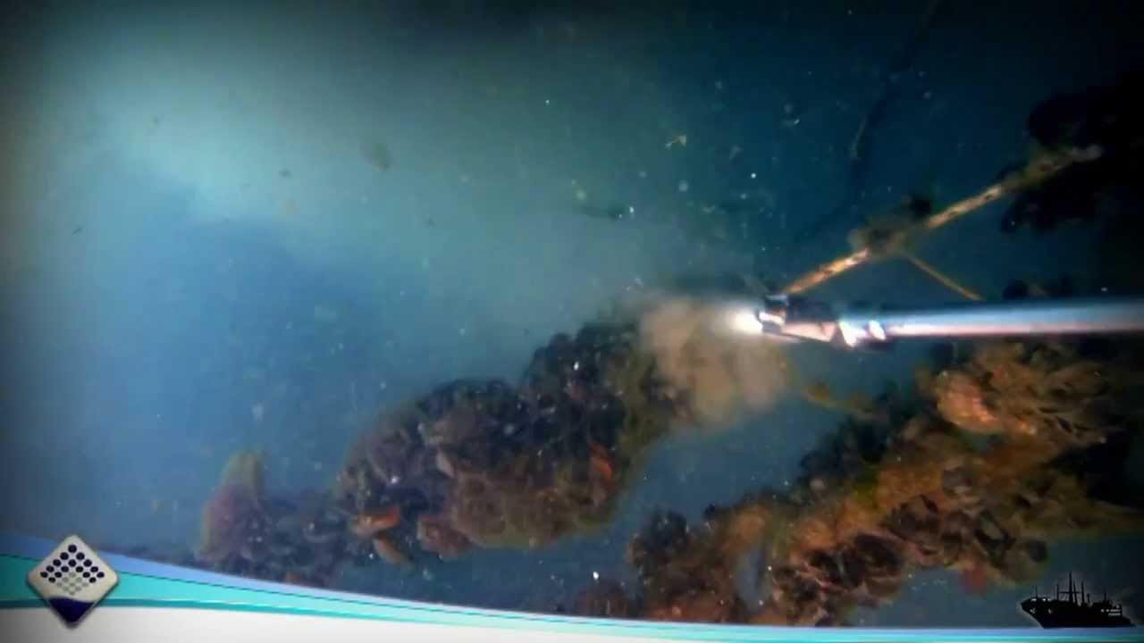 Cavitech underwater cleaning