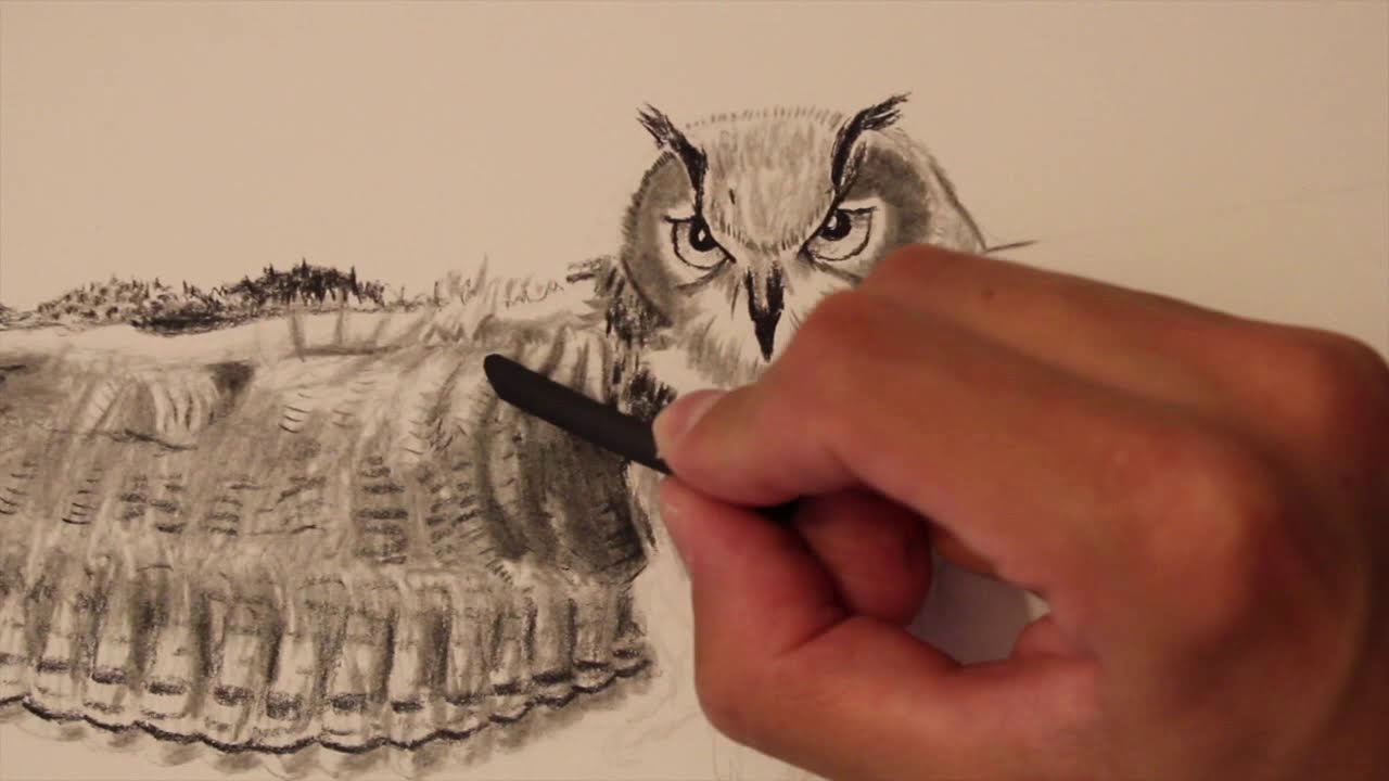 Owl drawing in charcoal(time lapse)