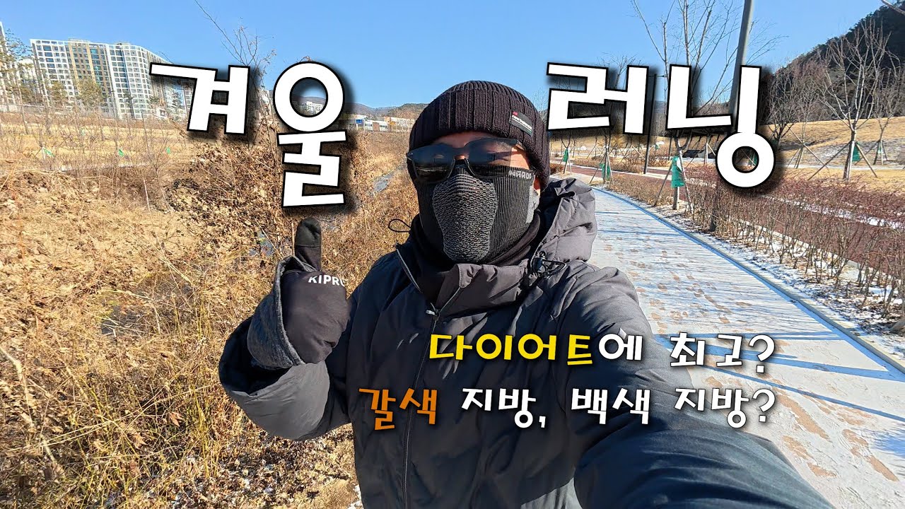 겨울 러닝 | 가성비로 끝내세요 & 갈색 지방, 다이어트 치트키