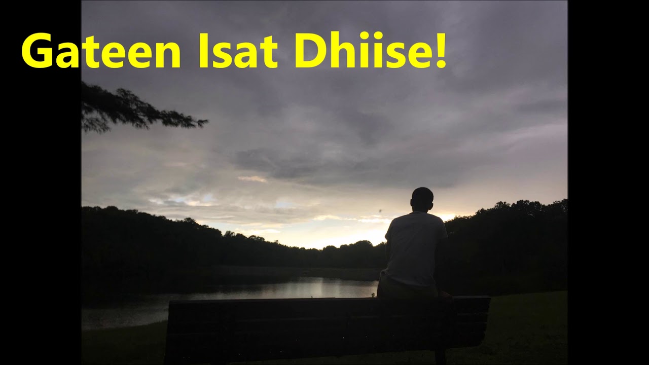 Gateen Isat Dhiise Waa'eekoo :  Biddiiqee fi Tasfaayee