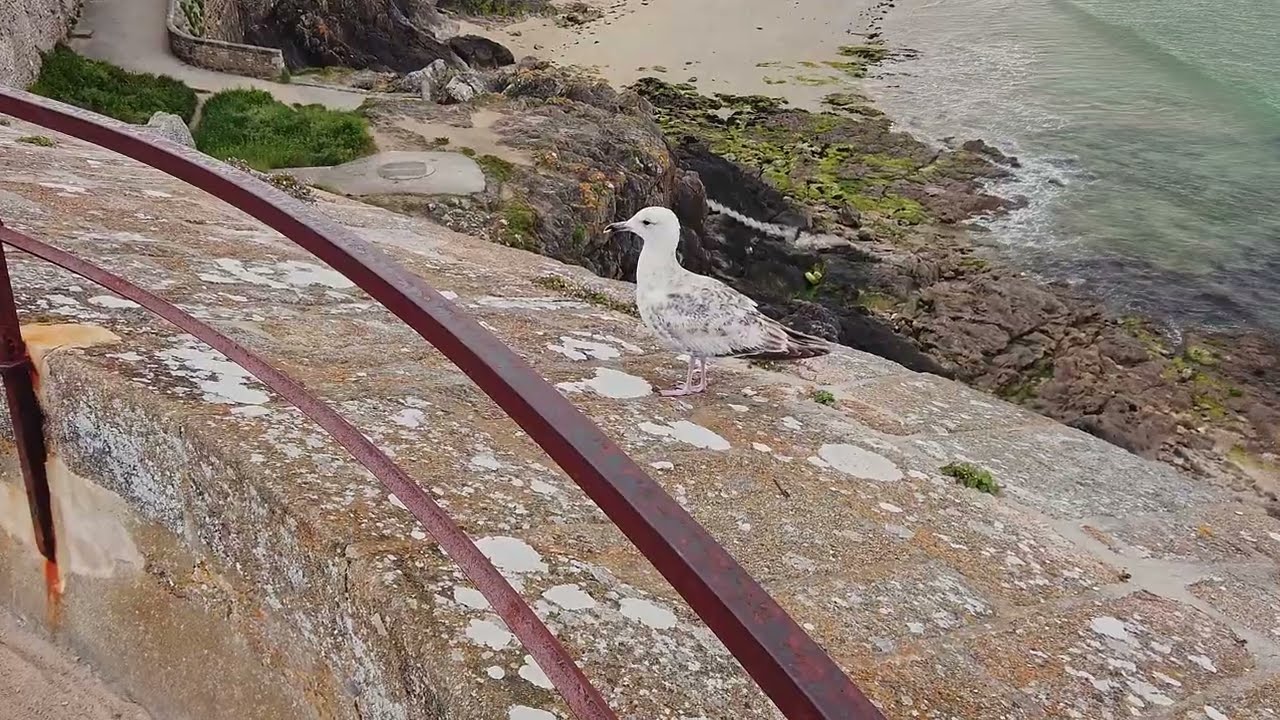 Saint Malo (Bretagne)