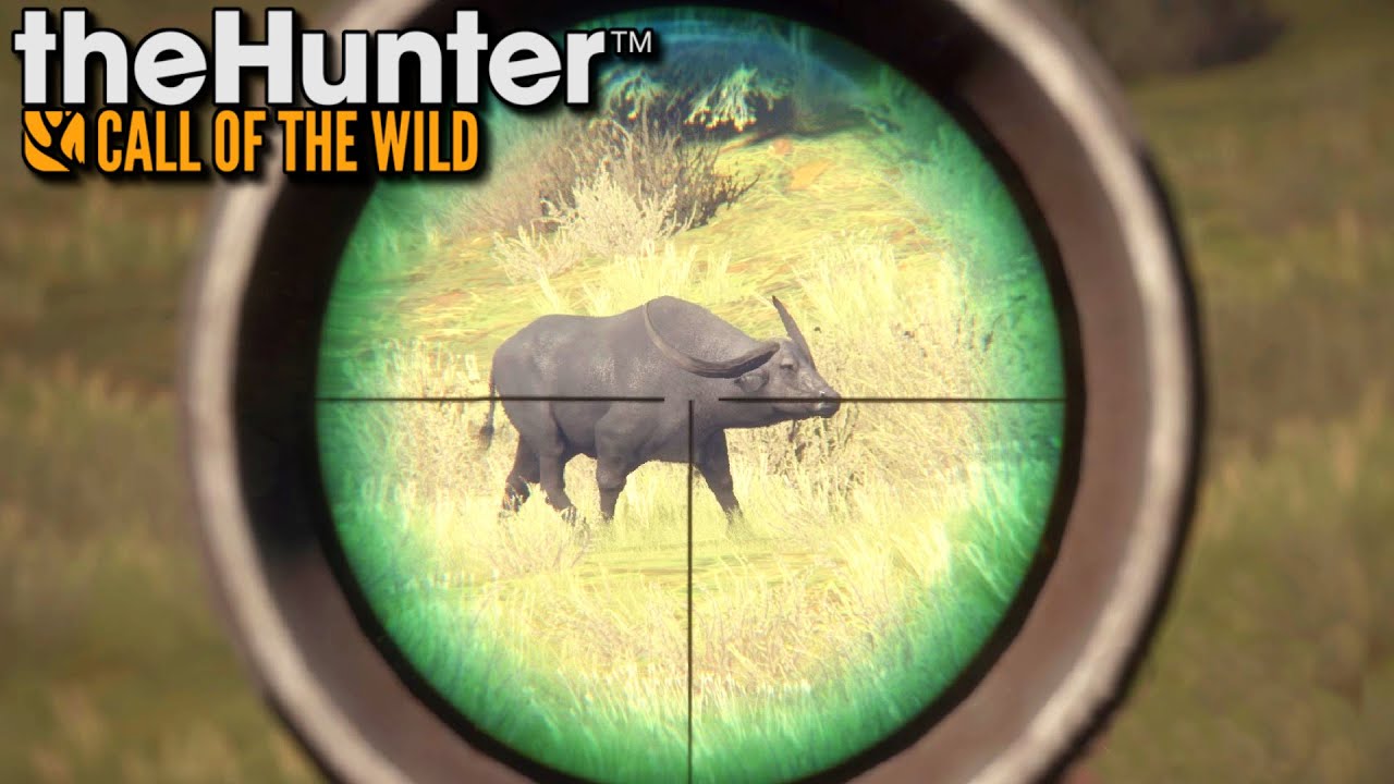 Najlepsze polowanie w tym roku | theHunter: Call of the Wild (#62)