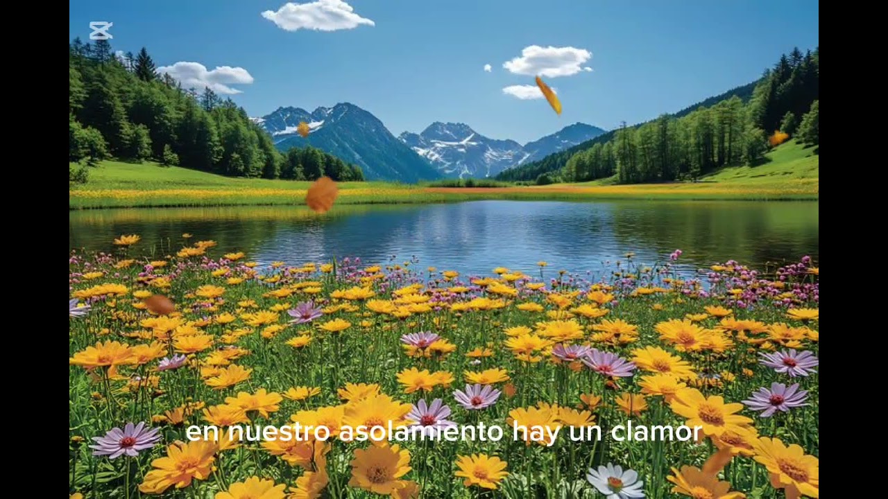 Abre los cielos sobre nosotros 