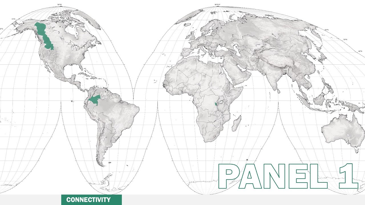 Mega-Eco Project Symposium | Panel 1: Connectivity