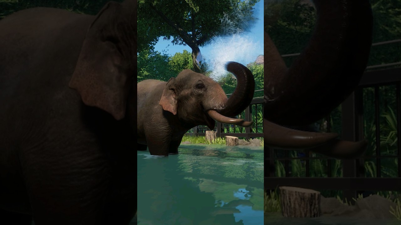 Elephant Water Fun Will Make You SMILE 😍🐘 | Planet Zoo