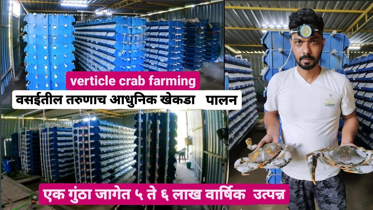वसईतील तरुणाची आधुनिक पद्धतीची खेकडा शेती | verticle crab farming in maharashtra success story #crab