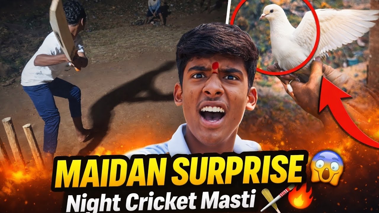 Kabootar Ko Uda Diya Aur Phir… 😲 | Epic Night Cricket Masti 🏏 