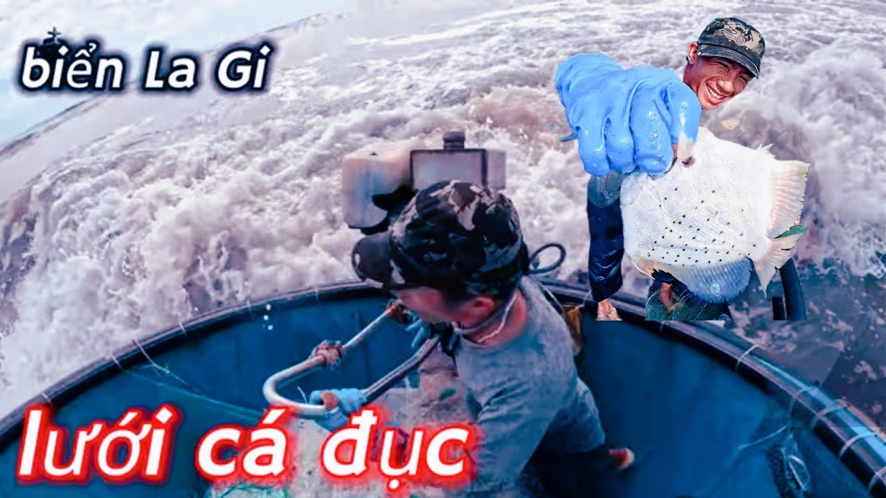 thuyền thúng lên đên trên biển đánh cá//vác lưới cá đục sau 7h đánh bắt