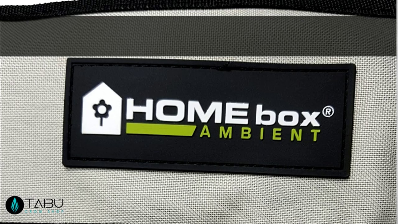 HomeBox Ambient Q100
