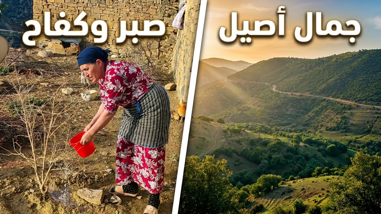 حياة المرأة البدوية