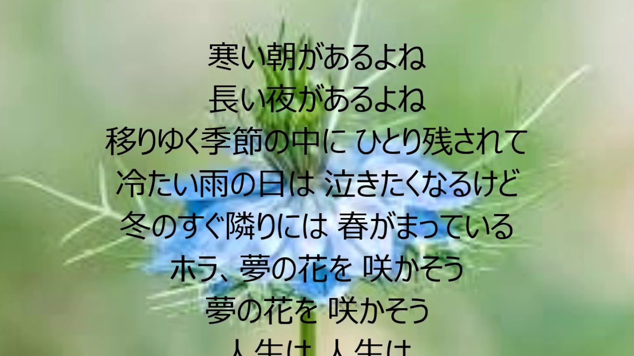 夢の花咲かそう　唄　増位山太志郎　cover 太陽と月