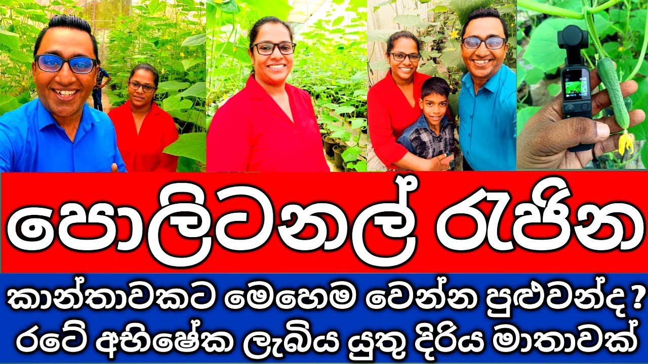 පොලිටනල් රැජින | පොලිටනල් වගාව පොල්ලෙලි චිප්ස් හා සත්ව පාලනයෙන් රටක් දිනු ඇය | Polytunnel Queen SL