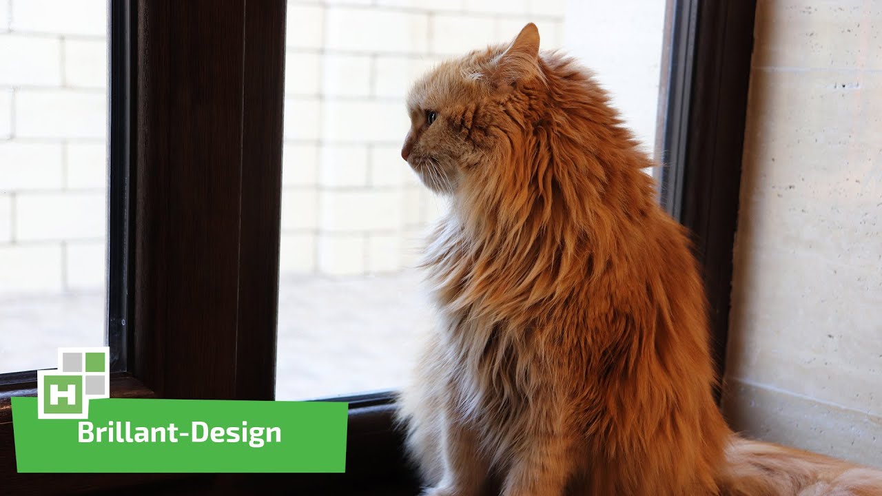 Наши Работы. Окна REHAU Brillant-Design, цвет 