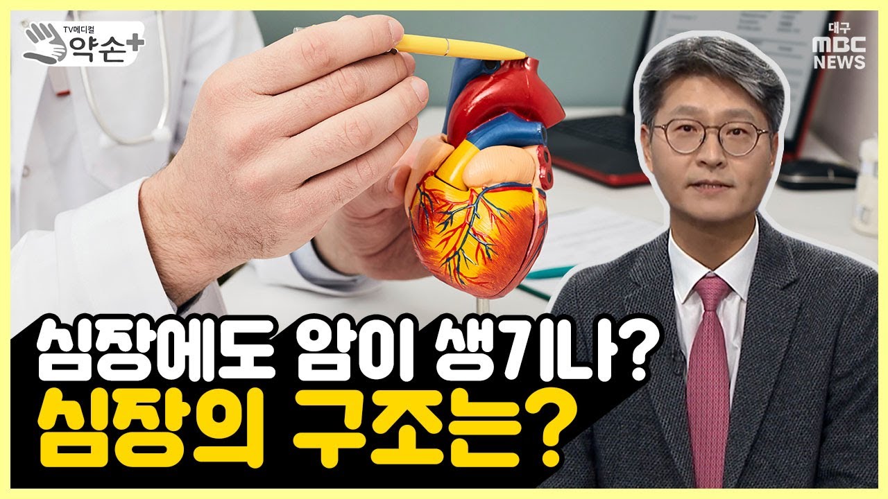 심장의 구조와 암 [심장이 보내는 경고 &lsquo;심부전과 심장 판막 질환&rsquo; ②] | 메디컬 약손