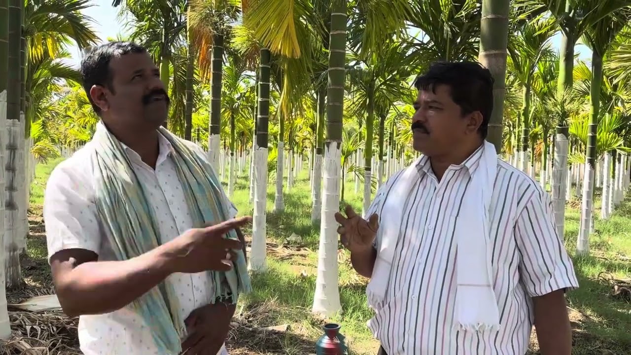 Dr soil used