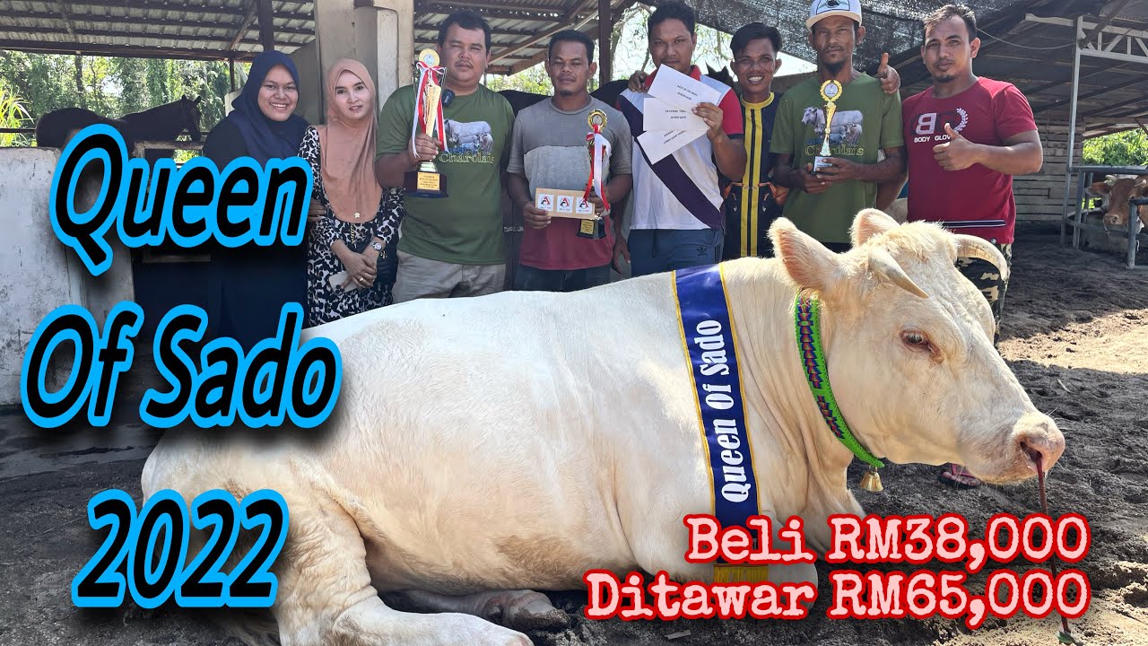 Bukti Induk betina terbaik menang tiga ketegori yang dipertandingkan