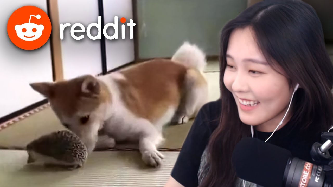 39daph Reacts to Reddit #6