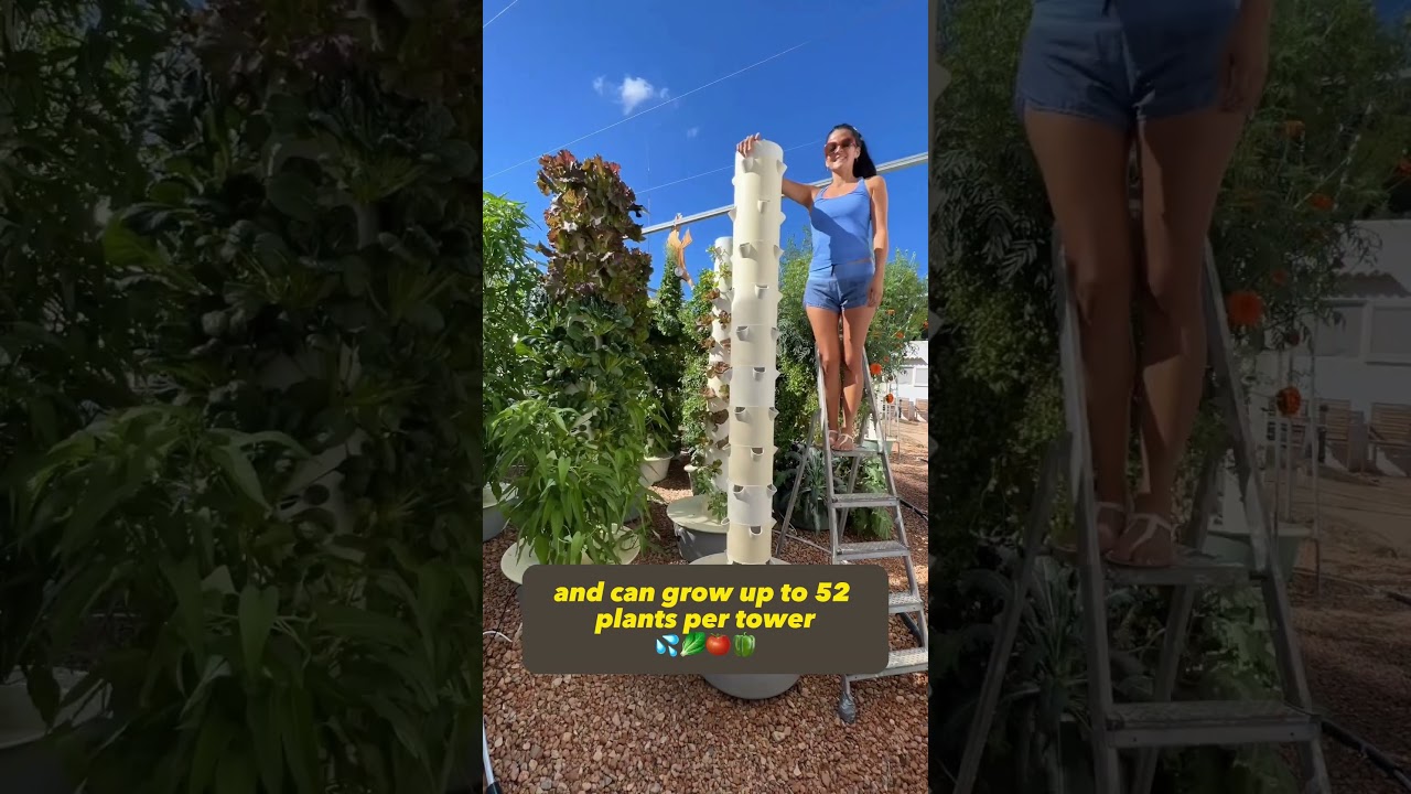 Aeroponic Tower - Tower garden
