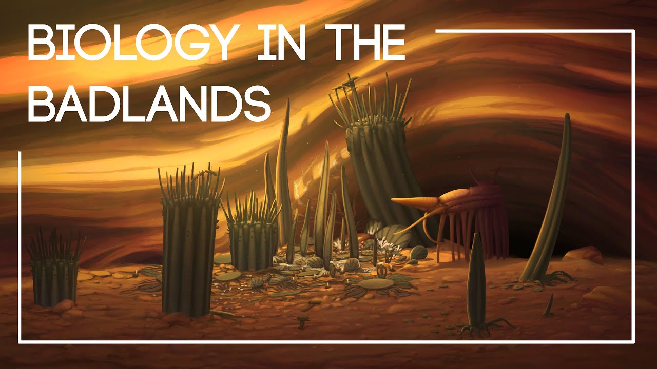 Exploring Life Within an Alien Slot Canyon  |  The Isla Project: Episode 7