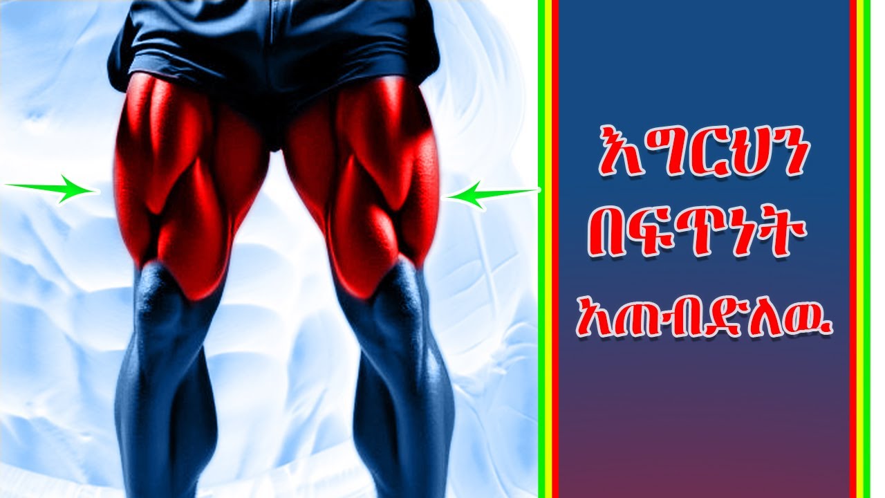 ግዙፍ እግር እንዴት መገንባት እንችላለን | leg exercise |  gizufi igiri inidēti megenibati inichilaleni | body evol