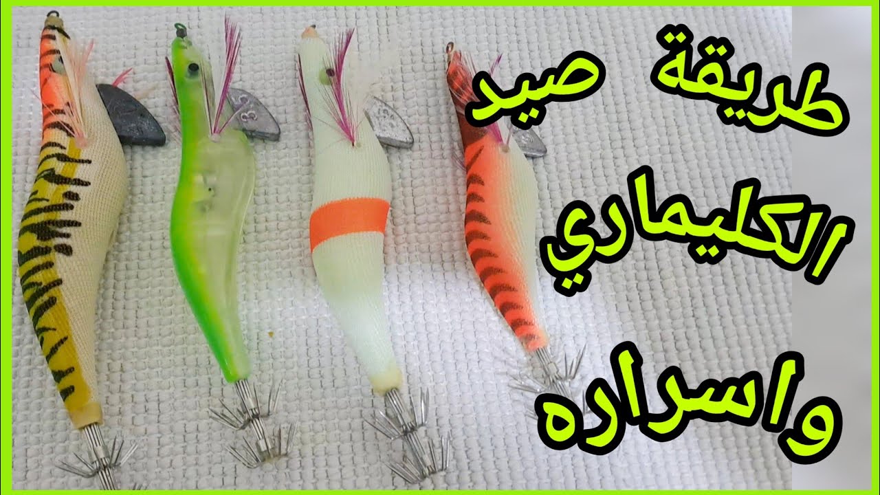 طريقة صيد الكليماري ؛أسرار أخفاها عنك الصيادين ومتعة ليس لها مثيل