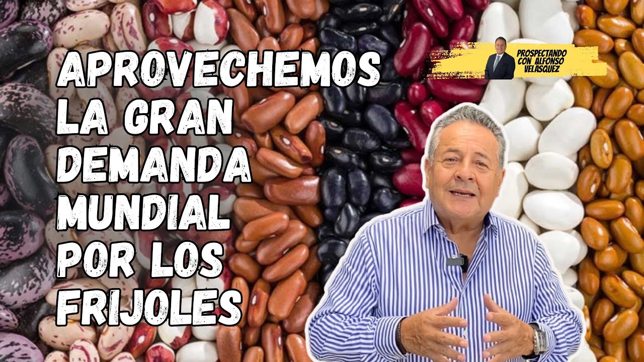 Frijoles: poca inversión, alta rentabilidad,...una gran oportunidad para el Perú