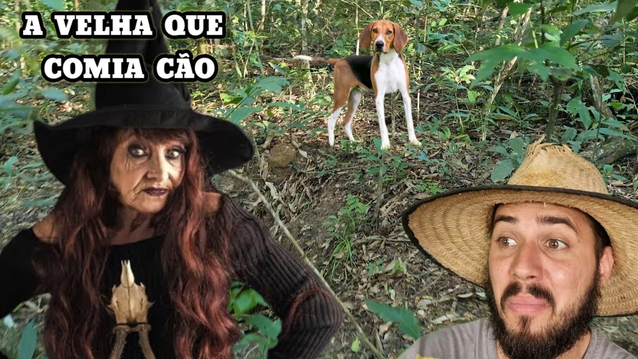 O Cap&atilde;o de Mato bom de bicho e a Velha que pegava os Cachorros pra carne de sol