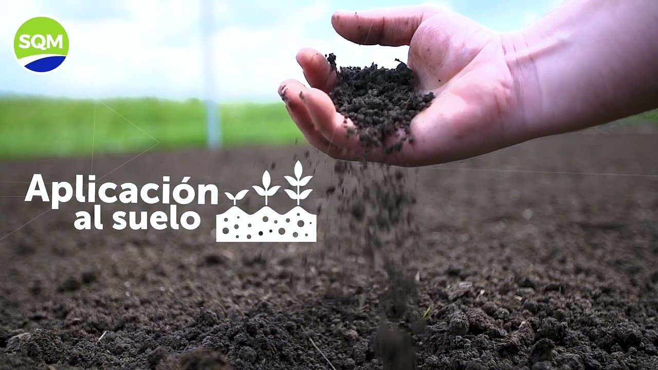 SQM: Nutrición Vegetal de Especialidad, Innovación y Sostenibilidad desde el Desierto de Atacama