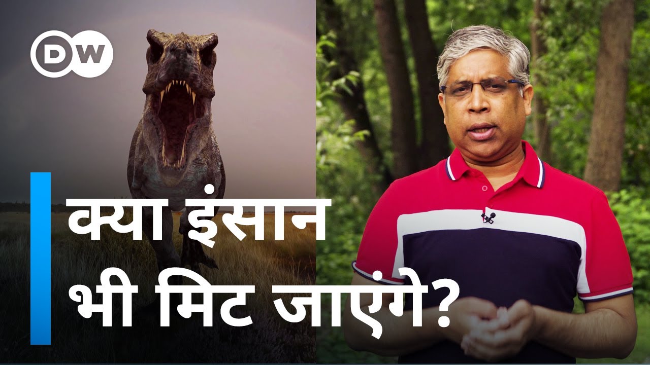 जब डायनासोर खत्म हुए तो इस धरती पर कौन बचा था? [Which animals survived the dinosaur era?]