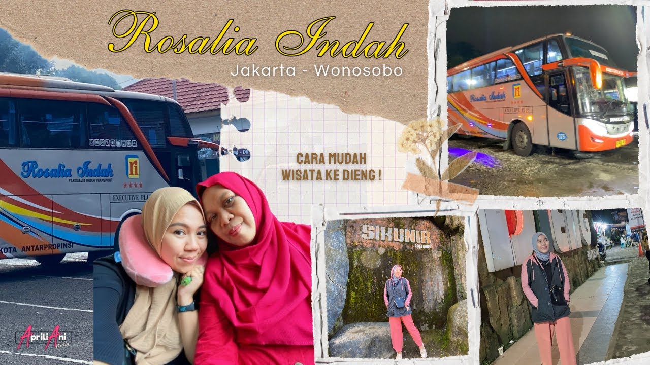 CARA MUDAH DAN MURAH TRAVELLING KE DIENG WONOSOBO ! [TRIP ROSALIA INDAH JAKARTA - WONOSOBO]