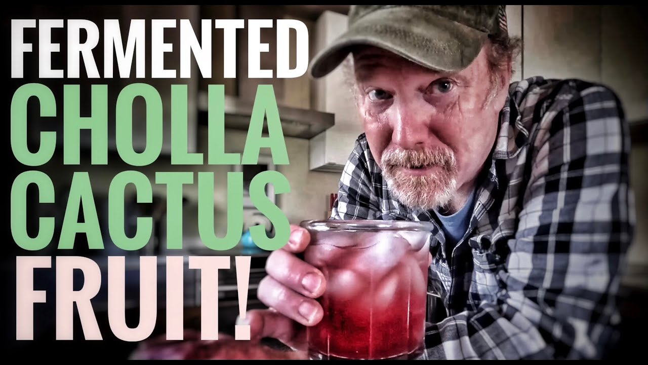 Fermented Cholla Cactus Fruit!