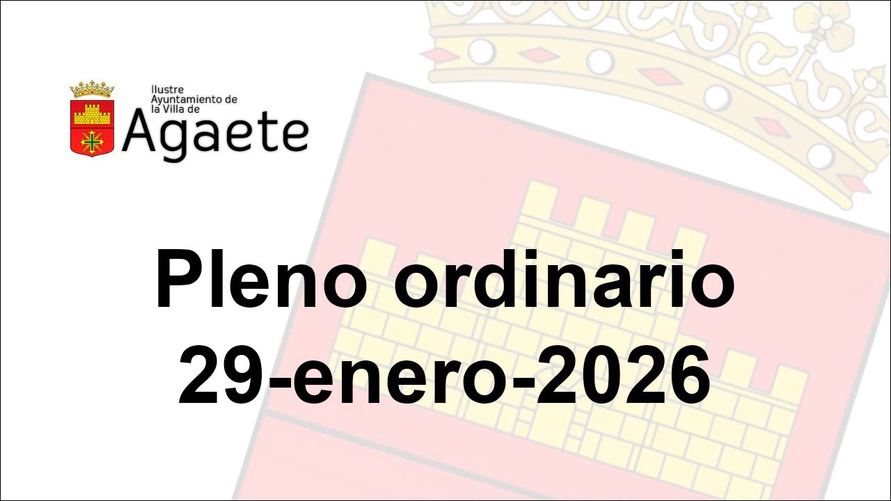 Pleno Ordinario del 29 de enero de 2026