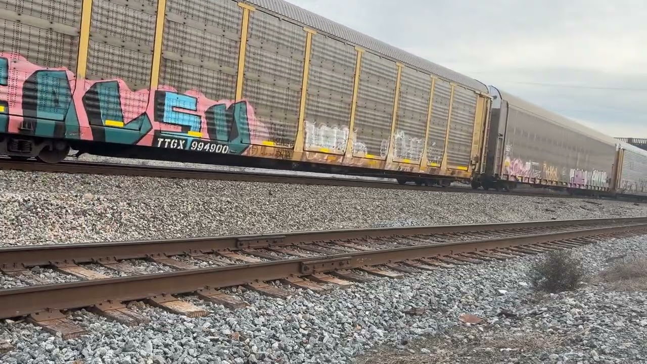 Dalton ga ns and can