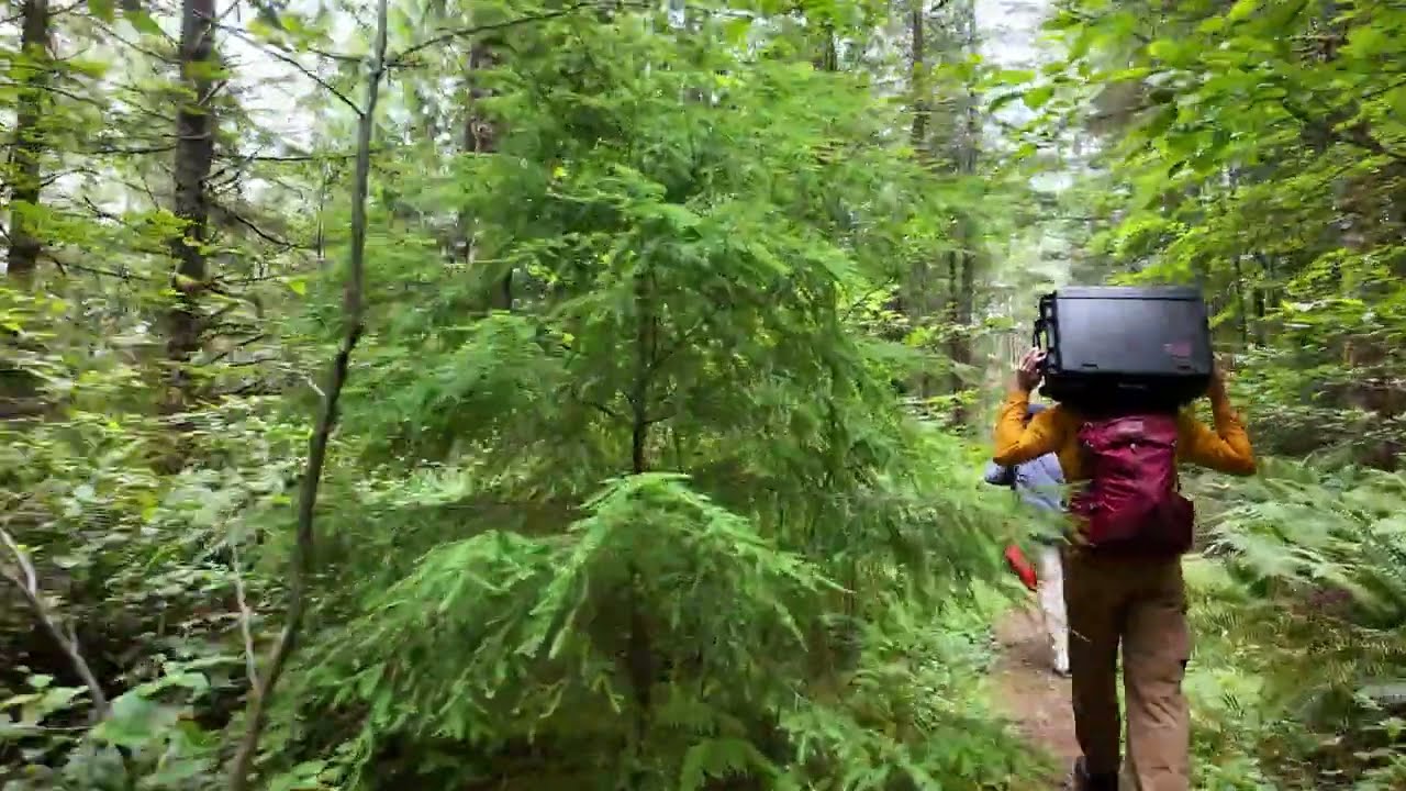 Day in the Life of a Watershed & Restoration Specialist