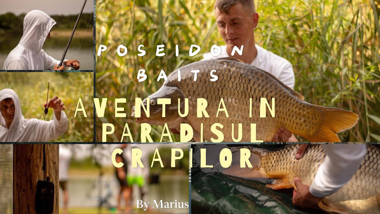 Pescuit la Crap în Caniculă: Echipa POSEIDON Carp Baits la Balta Diosig - Standul 1