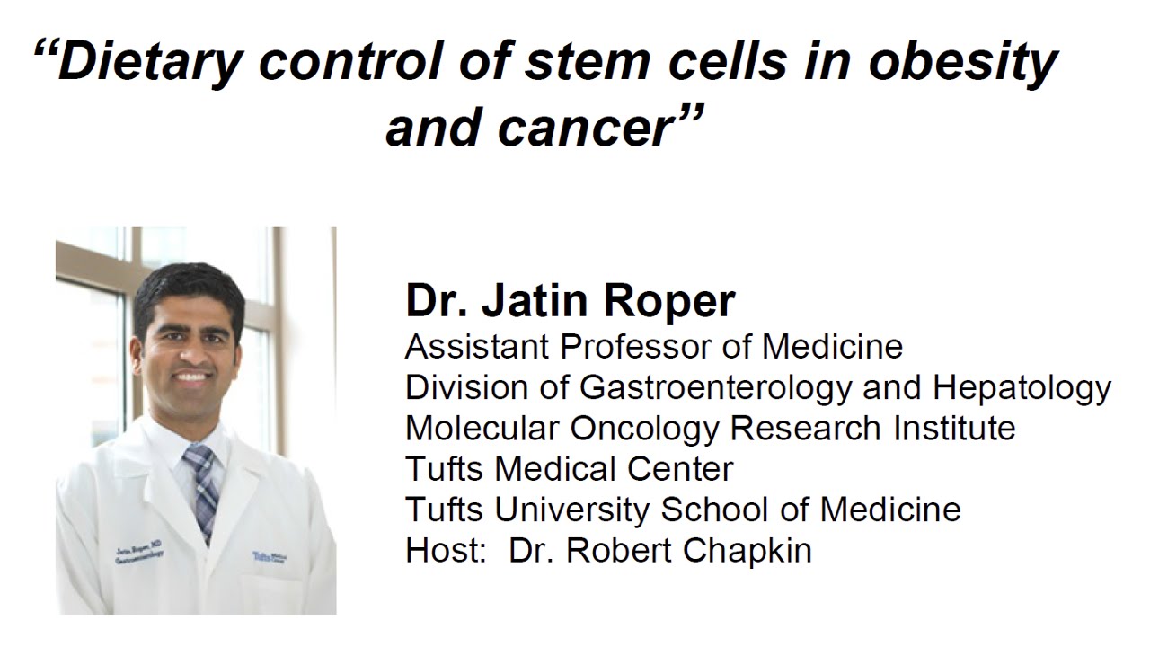 Dietary control of stem cells in obesity and cancer