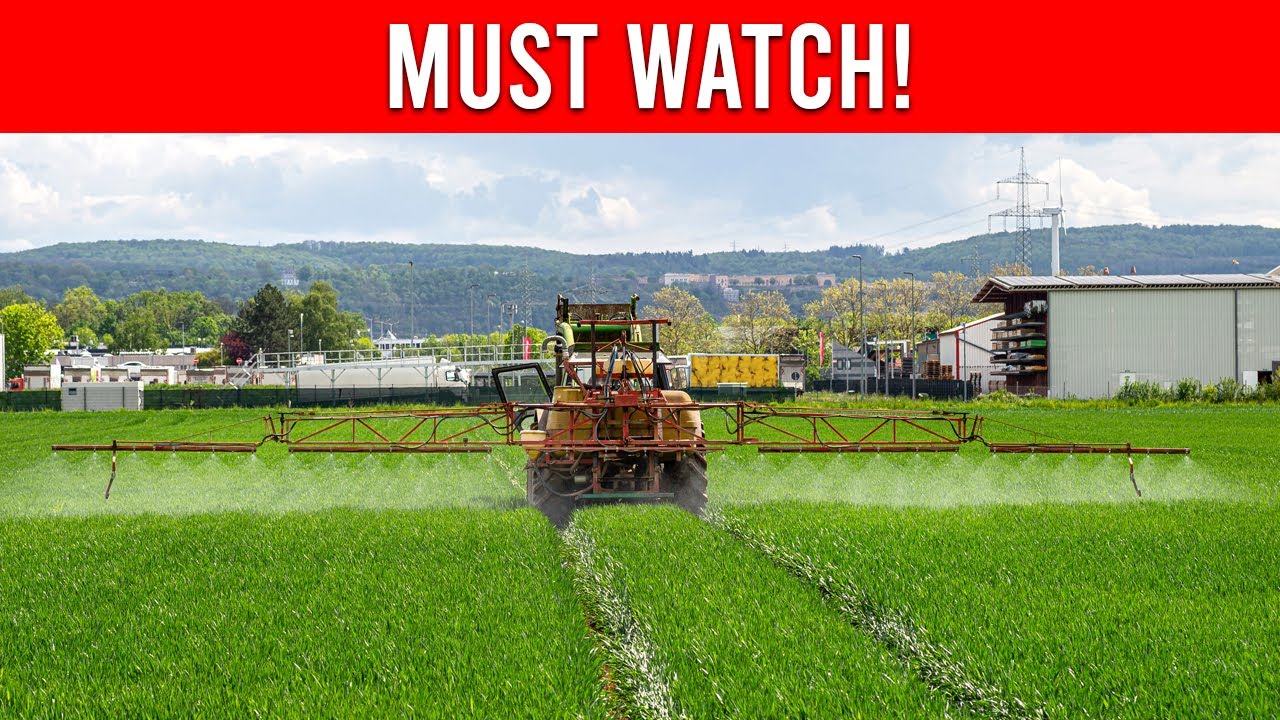 What Are GMOs? Exploring the Role of Biotechnology in Food Production