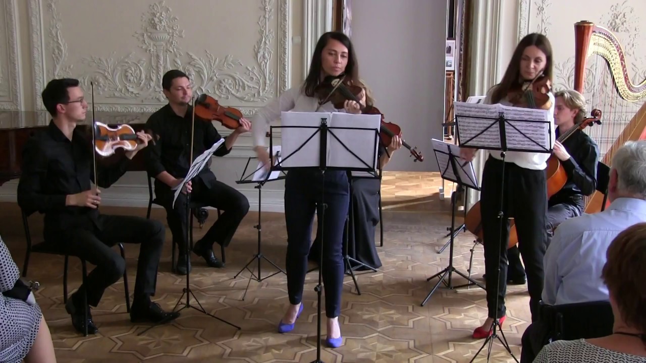 Концерт Київська Камерата Шоко-Класика 24.06.2018, ч.1