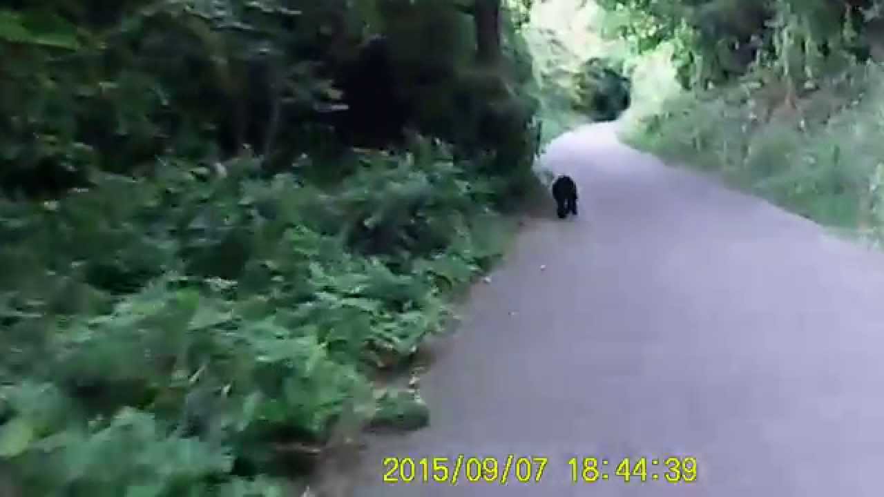 Dyserth to Prestatyn walkway bike ride