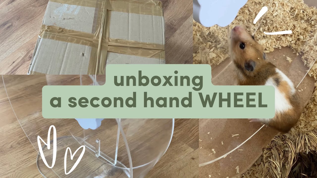 Unboxing a second hand hamster WHEEL! 🐹 | ASMR