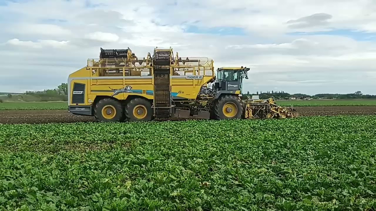 Repná Kampaň 2025 Zber ROPA TIGER 6S 2.časť