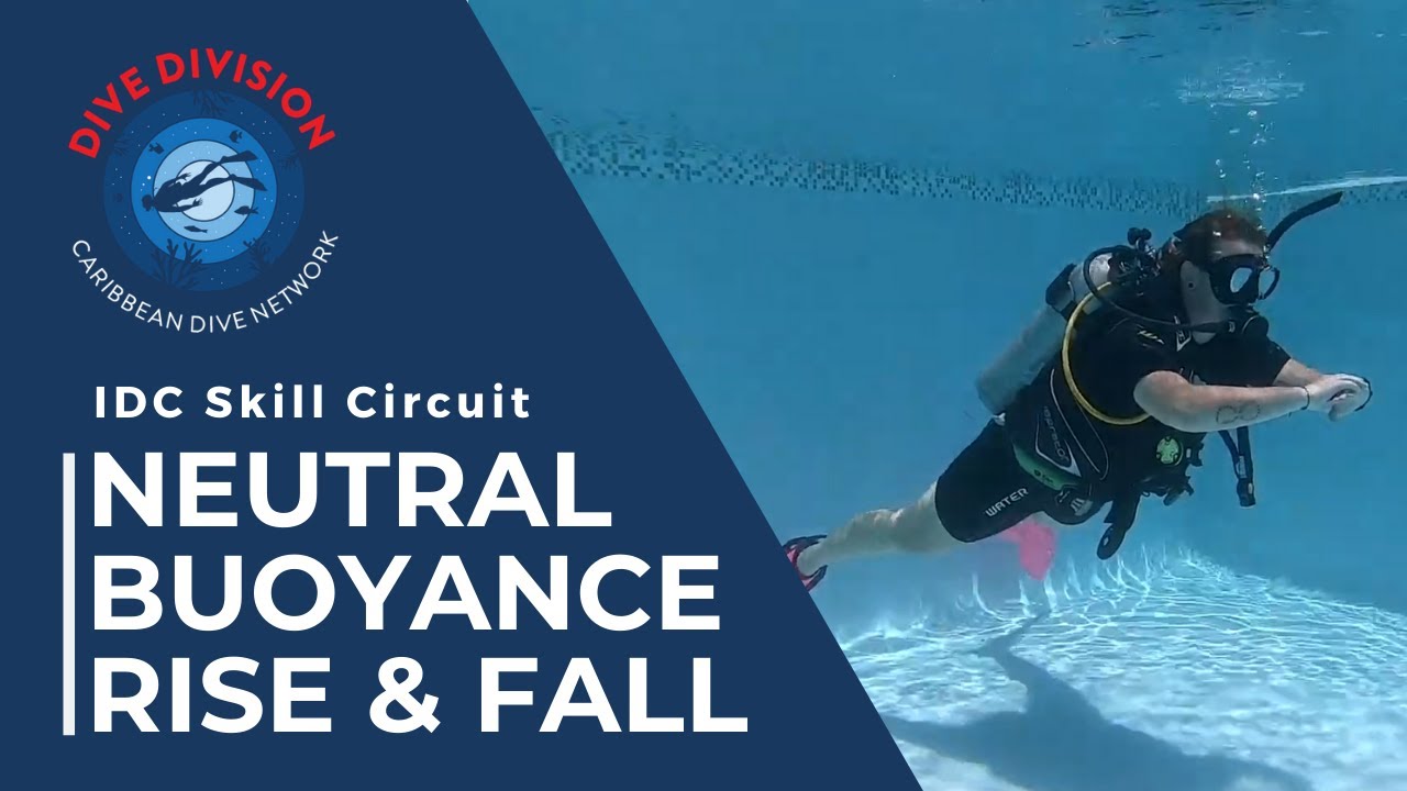 PADI IDC Skill Circuit: Neutral Buoyancy Rise & Fall (Revised Instructor Development Course)