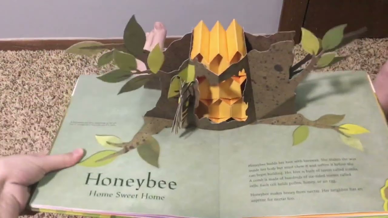 My Pop-Up Book Collection: Welcome to the Neighborwood