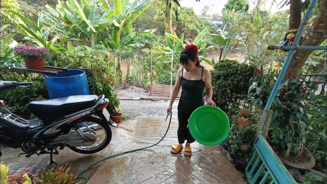 Tẩy Rong Rêu Cầu Thang Cho Ba Mẹ Siêu Sạch 